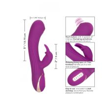Kiškučio vibratorius Thumping (violetinis)  