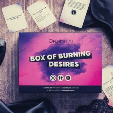 Žaidimas Box of Burning Desires 